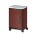 Clinton 8720-A Mobile, Molded Top Bedside Cabinet - DENTAMED USA