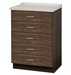 Clinton Fashion Finish Molded Top Treatment Cabinet with 5 Drawers  8805-AF - DENTAMED USA