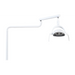 ADS Dental Light Post mount (30″) Whale LED Light A0602600 - DENTAMED USA