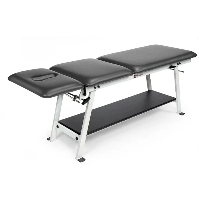 Armedica AM-F3 Fixed Height Steel Frame Medical Table - DENTAMED USA